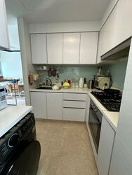 Eight Riversuites (D12), Condominium #498390781